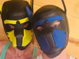 WebCAM di BreedingBare