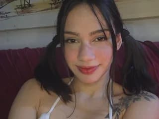 WebCAM of Docecukloud