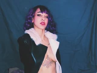 WebCAM de LexColorful