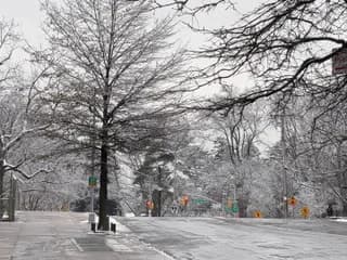 WebCAM of Sweet_Dreamzz212