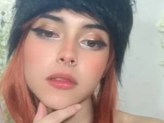 WebCAM de cronixx